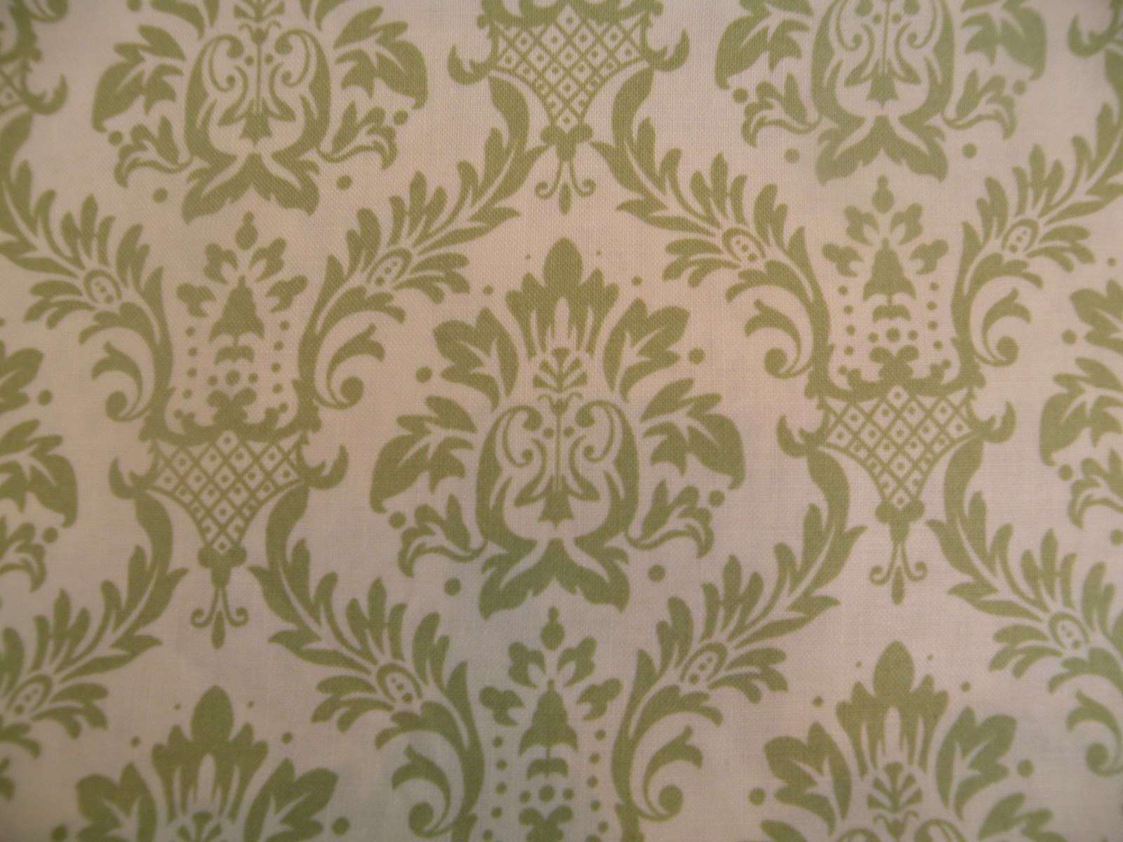 Green Damask on Cream